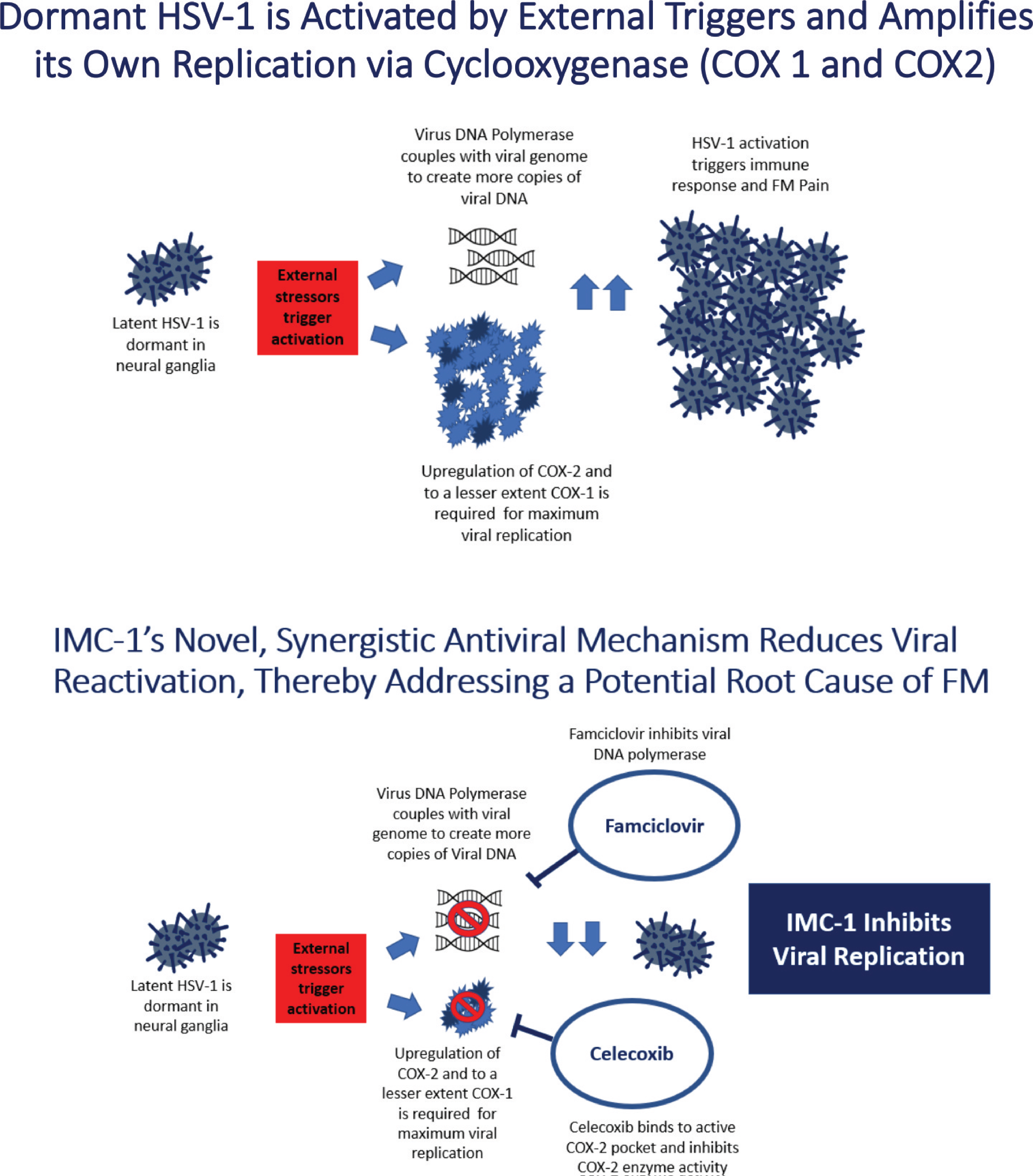 [MISSING IMAGE: tm2025286d1-tbl_herpes4clr.jpg]